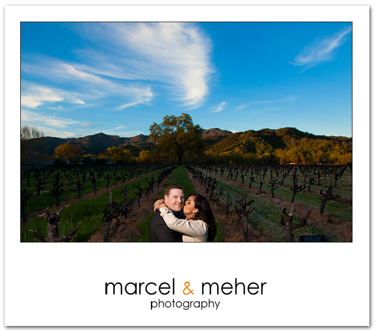 wine country engagement session, napa and sonoma county engagement session
